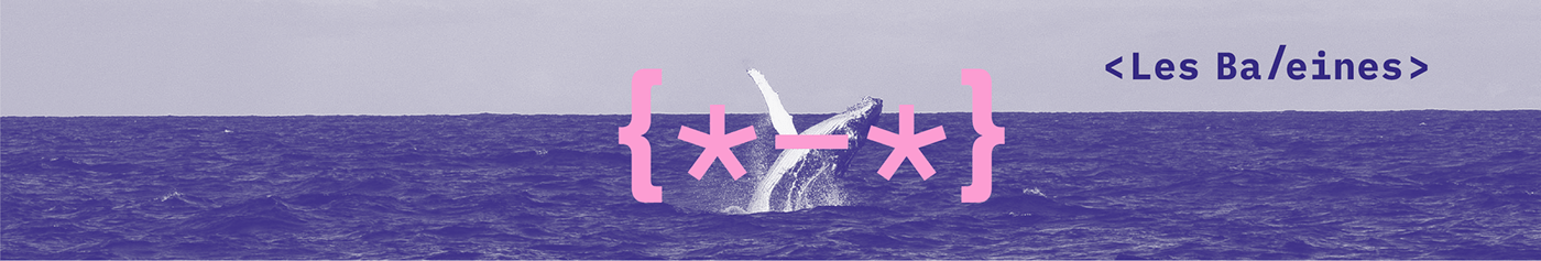 branding  code colorful Data identity logo sea SEO Whale