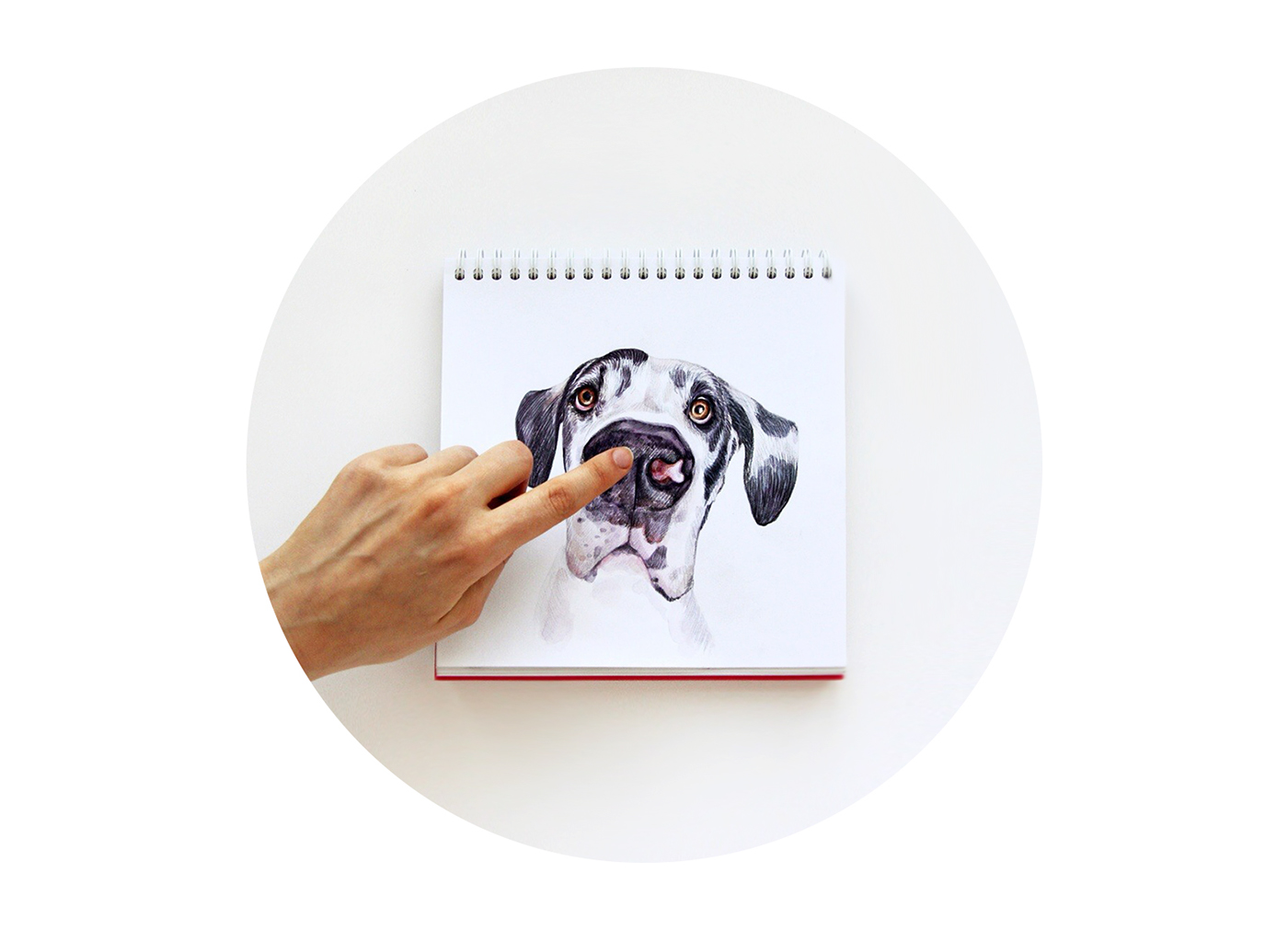dog photo sketch watercolor interactive hand animal cute funny draw