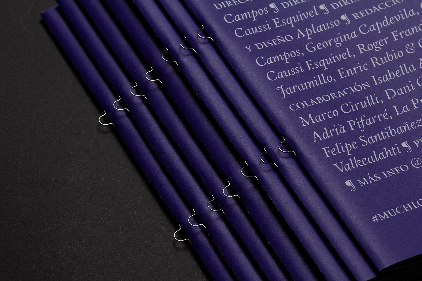 FIU Stories fiustories mag magazine revista barcelona APLAUSO purple feminism