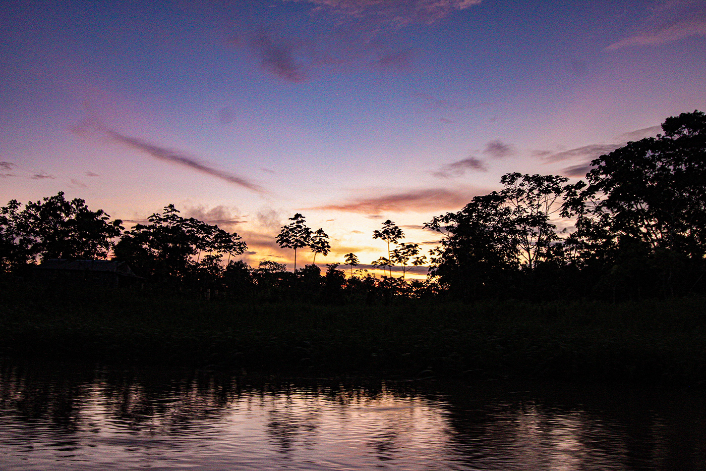 Nature wildlife Photography  Travel South America landscape photography sunset Canon The Amazon Jungle the amazon rainforest