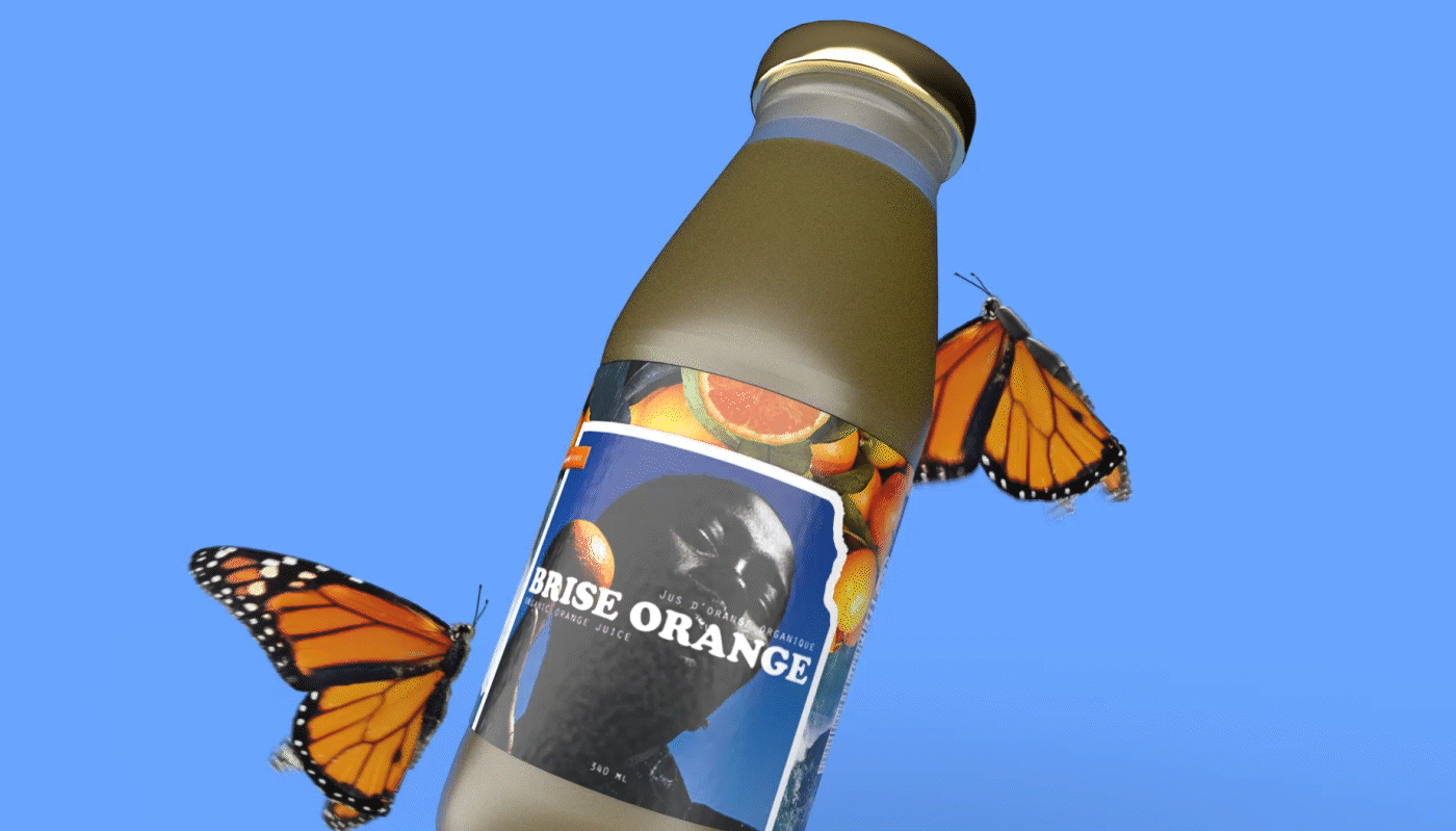 Packaging coffret beauty butterfly brand identity channel orange frank ocean