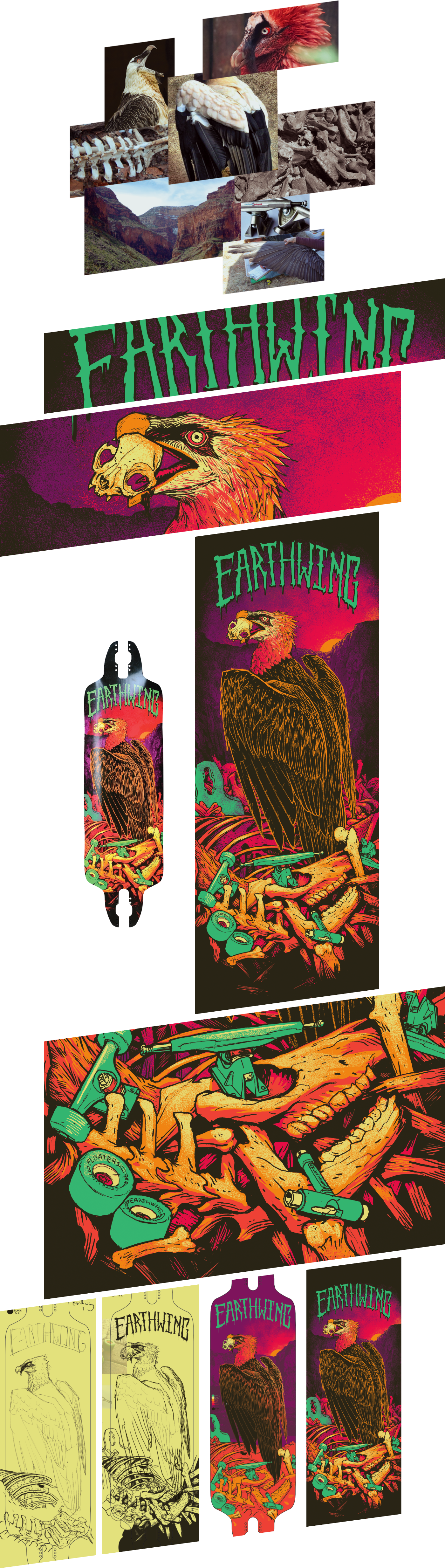 vulture bearded vulture LONGBOARD earthwing   earthwing skateboards skateboard