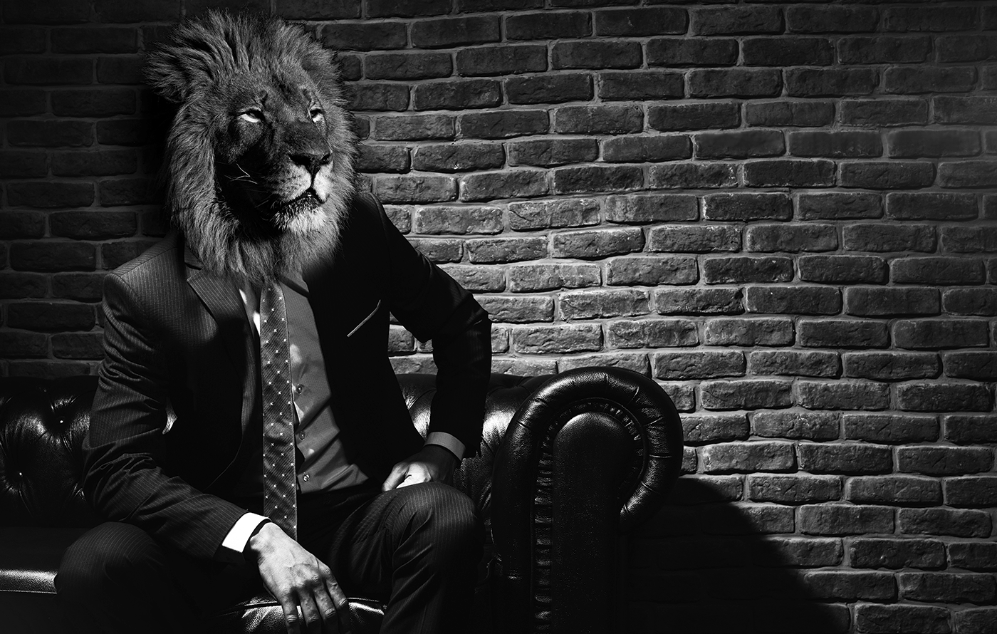 social media facebook instagram Corporate Design logo lion party festival weeding