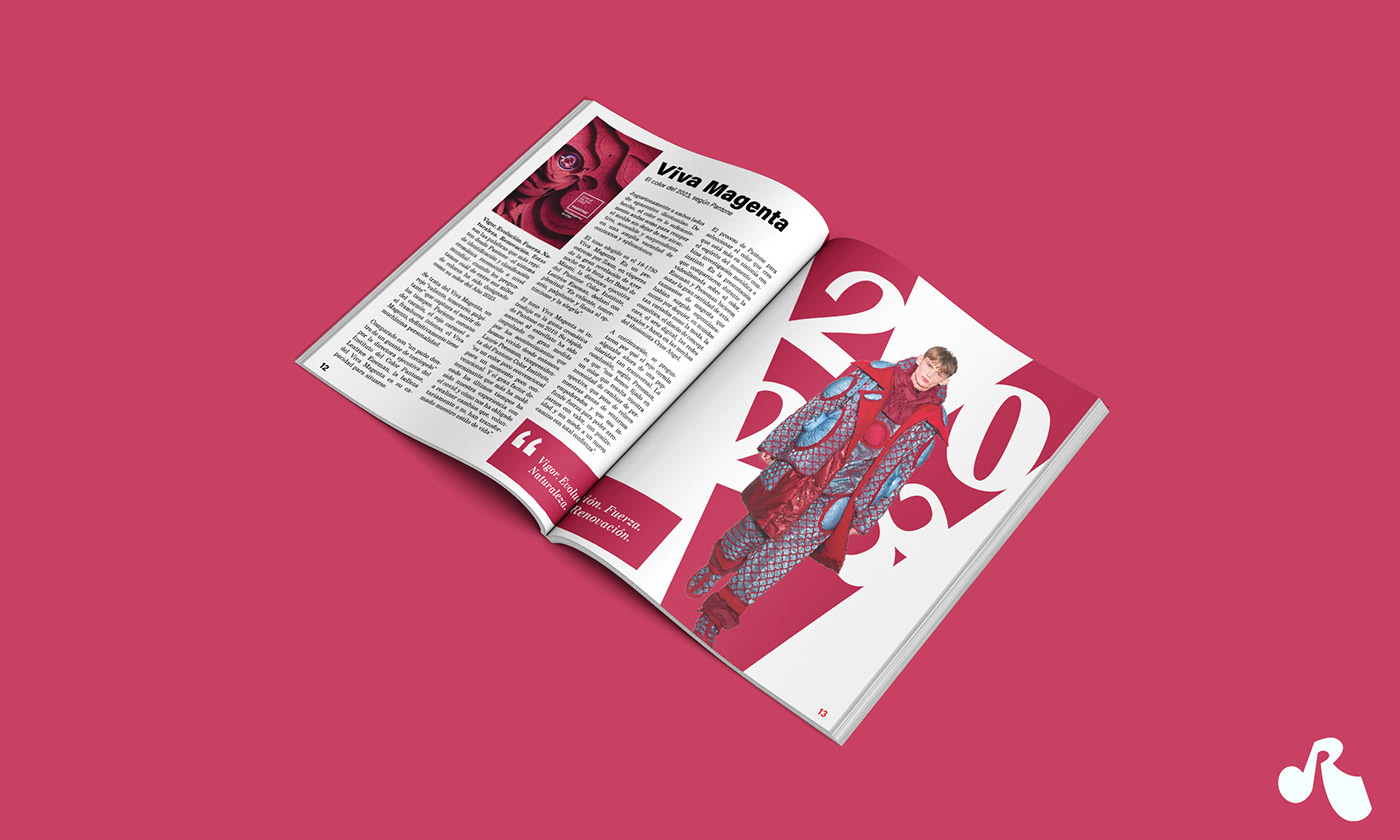 design magazine Magazine Cover InDesign print
