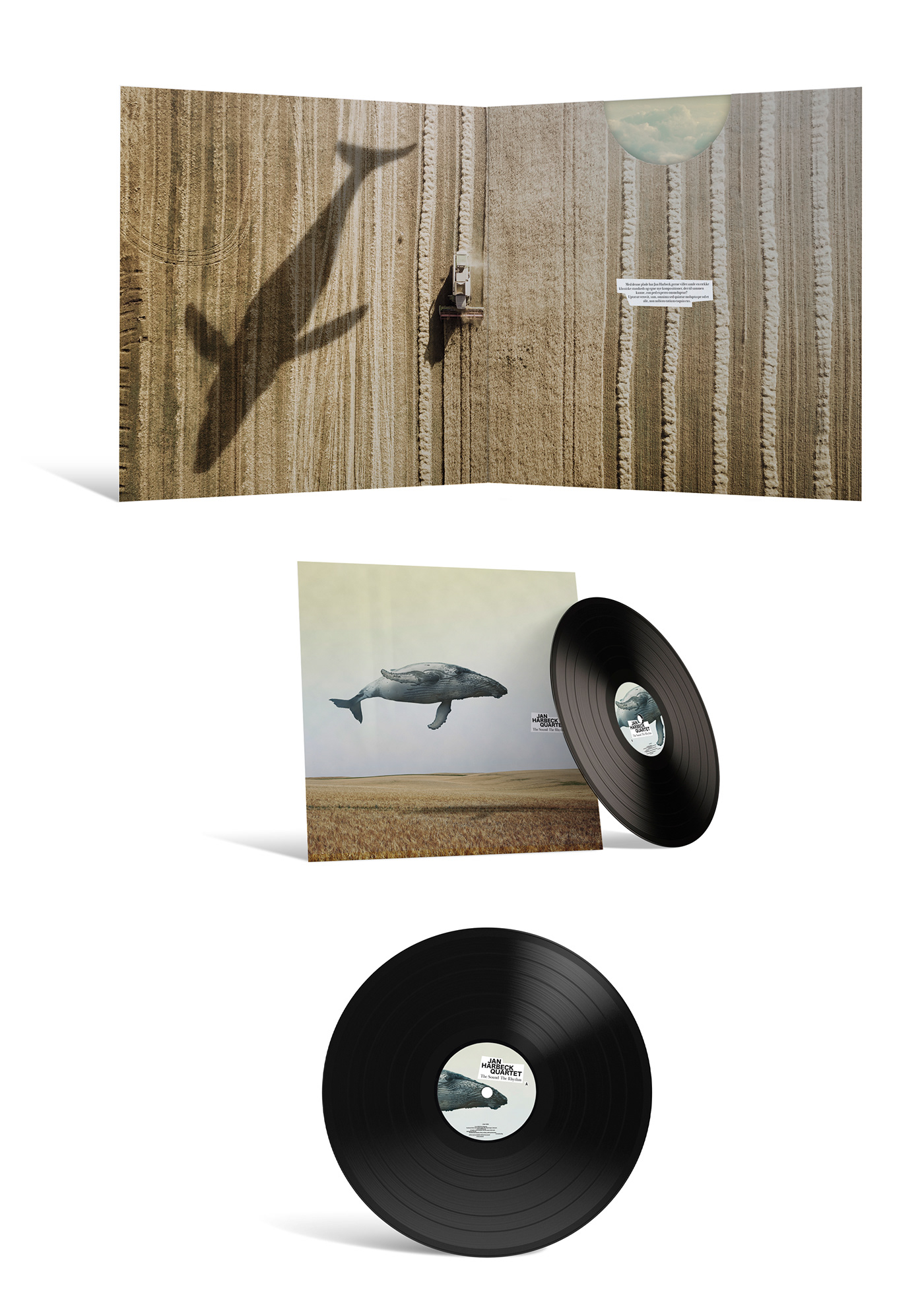 vinyl cover album cover Packaging