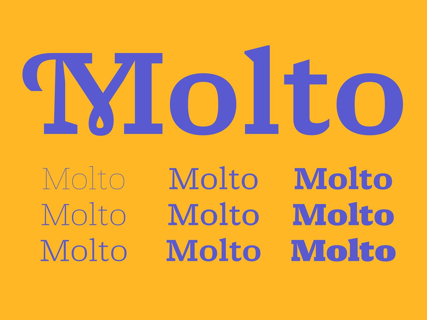 molto typetogether Xavier Dupré slab serif hairline Fat display Swashes Typeface