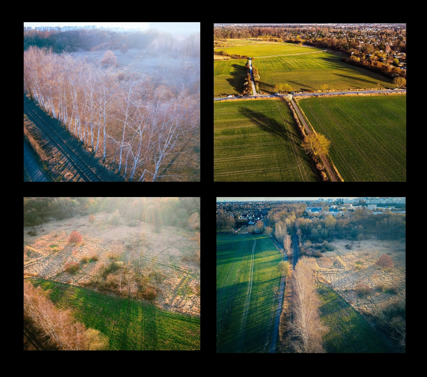 drone Photography  videography Forests Landscape global warming арт light trees life.Stefan F. Wirth