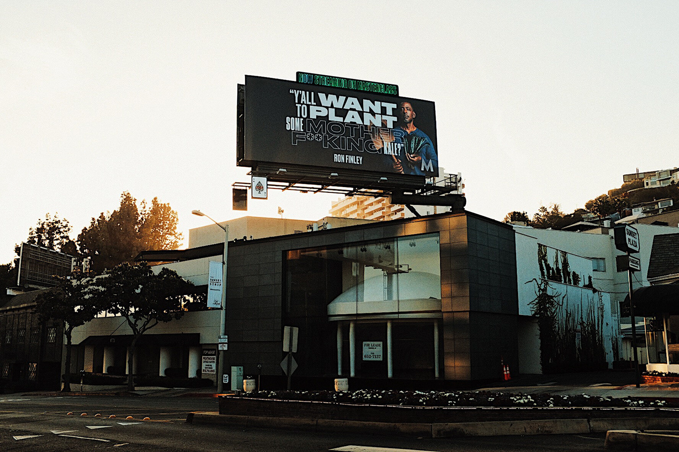 Advertising  anomaly benoit ollive billboard graphic design  graphicfury graphics motion typography  