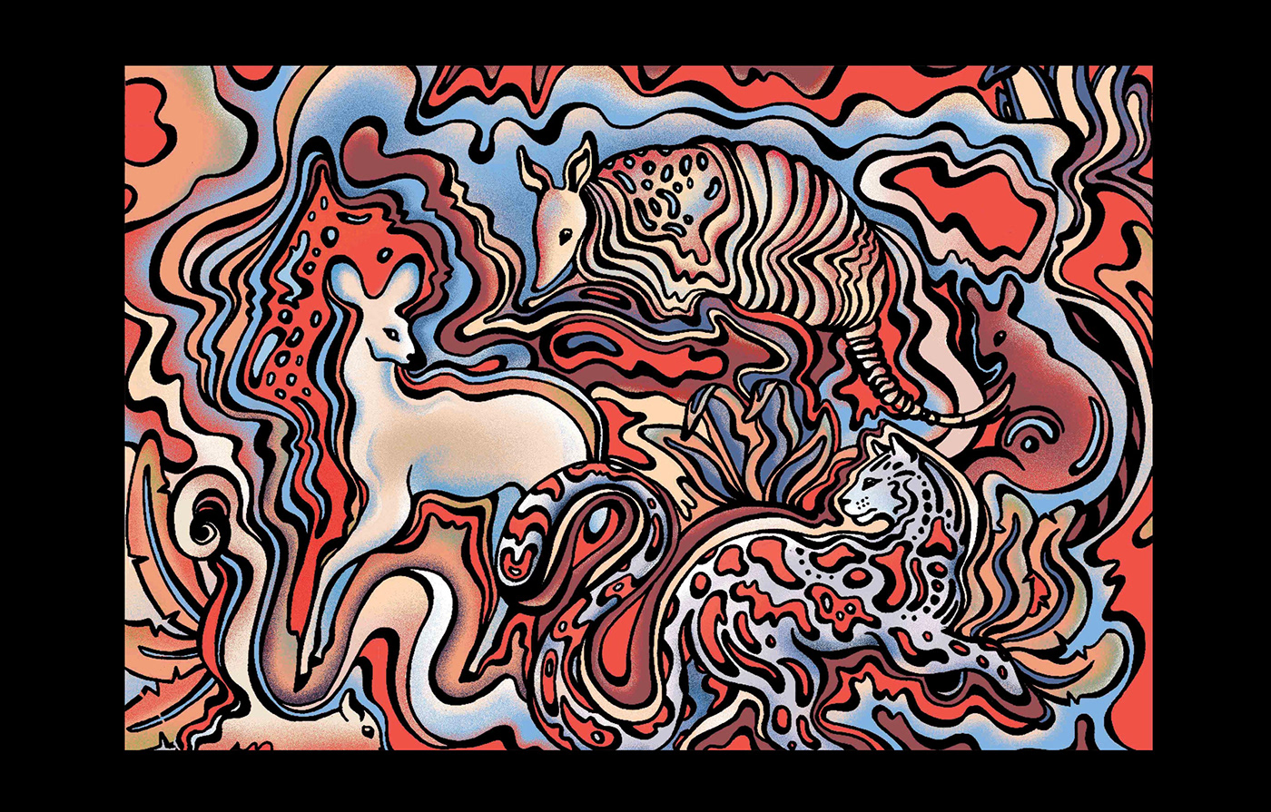 illustraton animals postcards noize animal illustration postcard illustration psychedelic noize illustration