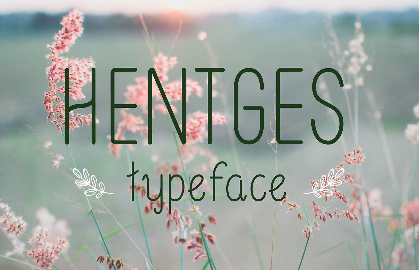 Typeface type font handmade typography  
