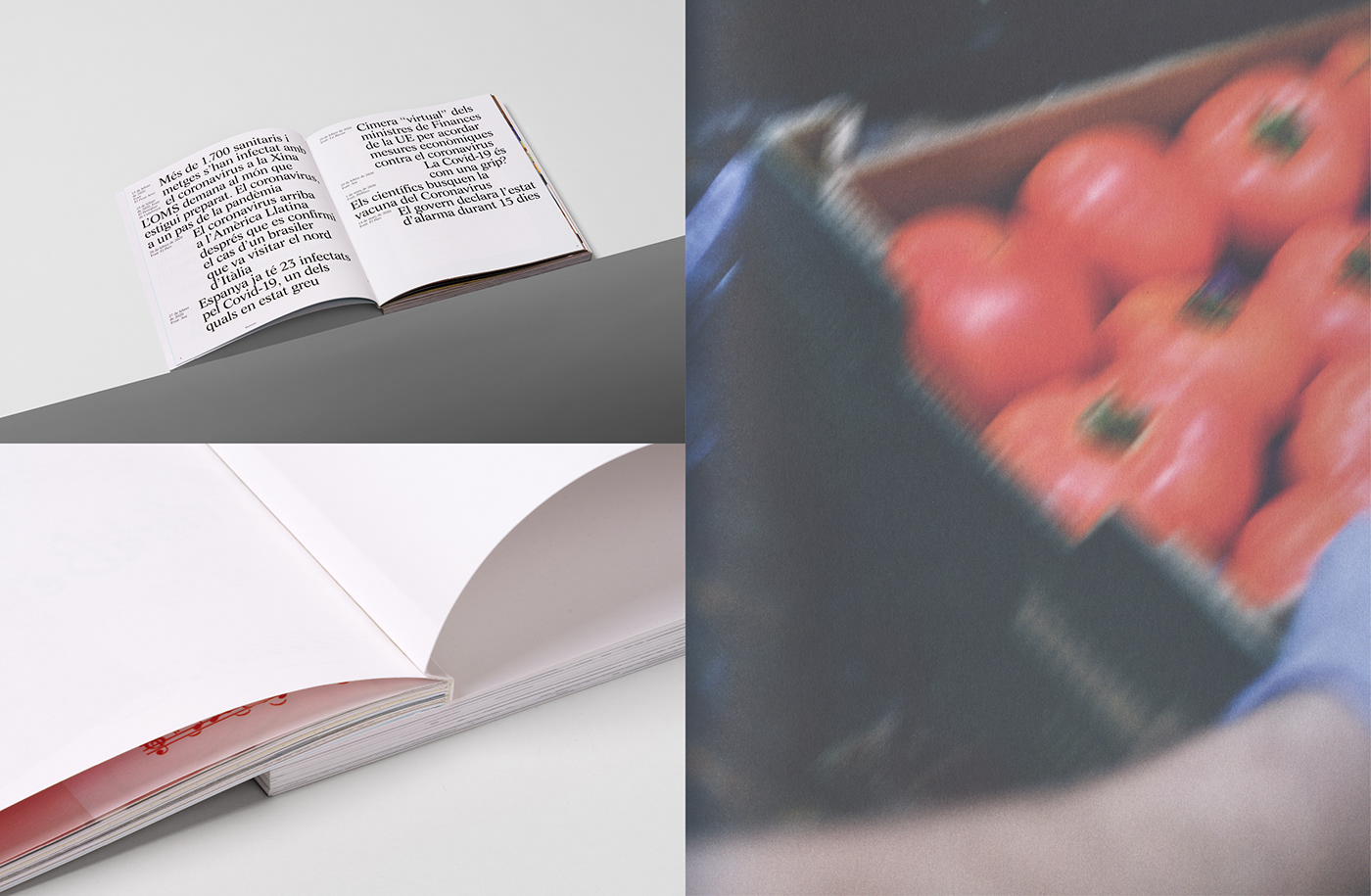 book book design editorial graphic graphic design  ILLUSTRATION 