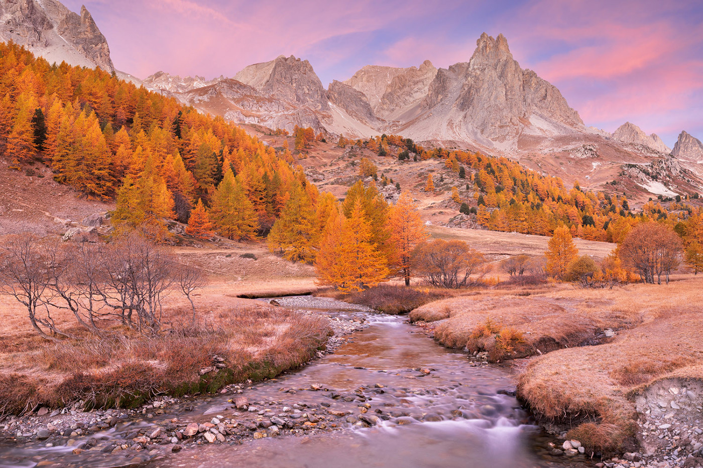 2021 in review Coast forest Landscape loneliness mountain Nature solitude Treescape life