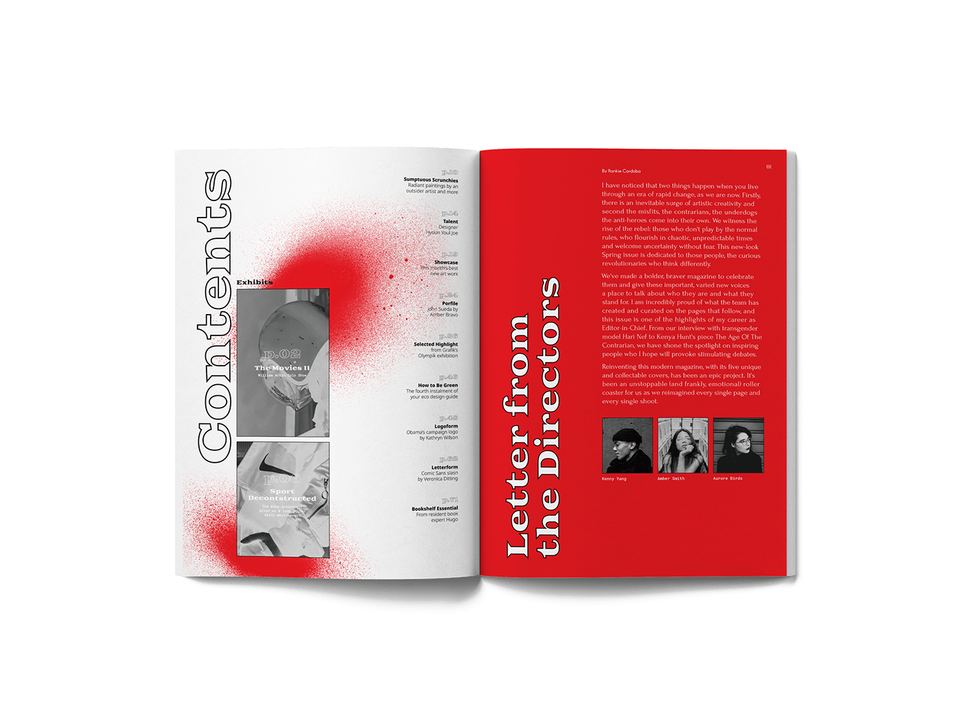 book graphic design  InDesign Layout magazine