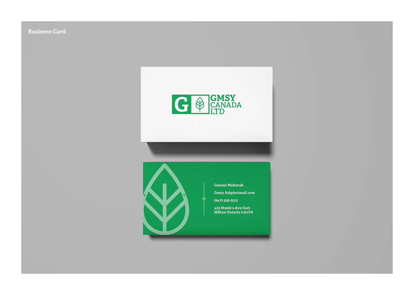 logo design export Import natural Canada branding  green redesign concept