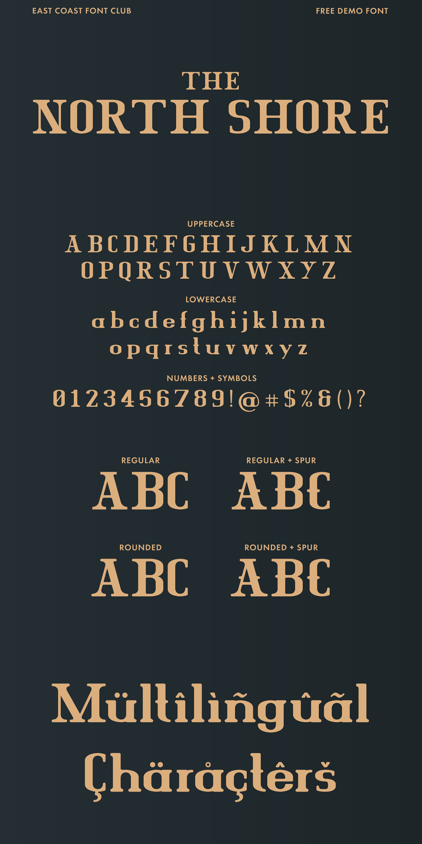 display font font free Free font freebie logo poster sans serif serif Typeface