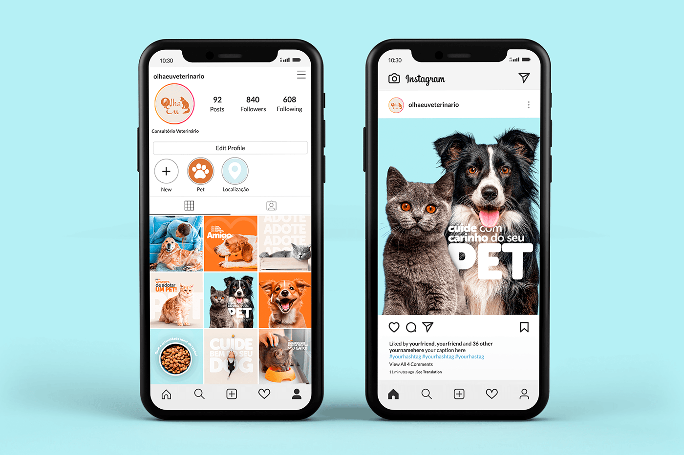 petshop dog animal Cat Pet brand identity Graphic Designer Social media post Socialmedia visual identity