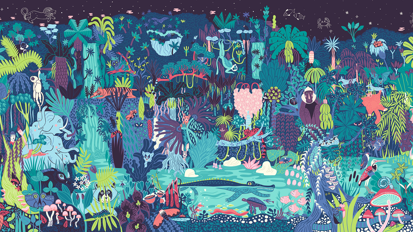 childrens books rainforest wildlife illustrated books Concertina Book panoramic animals jungle
