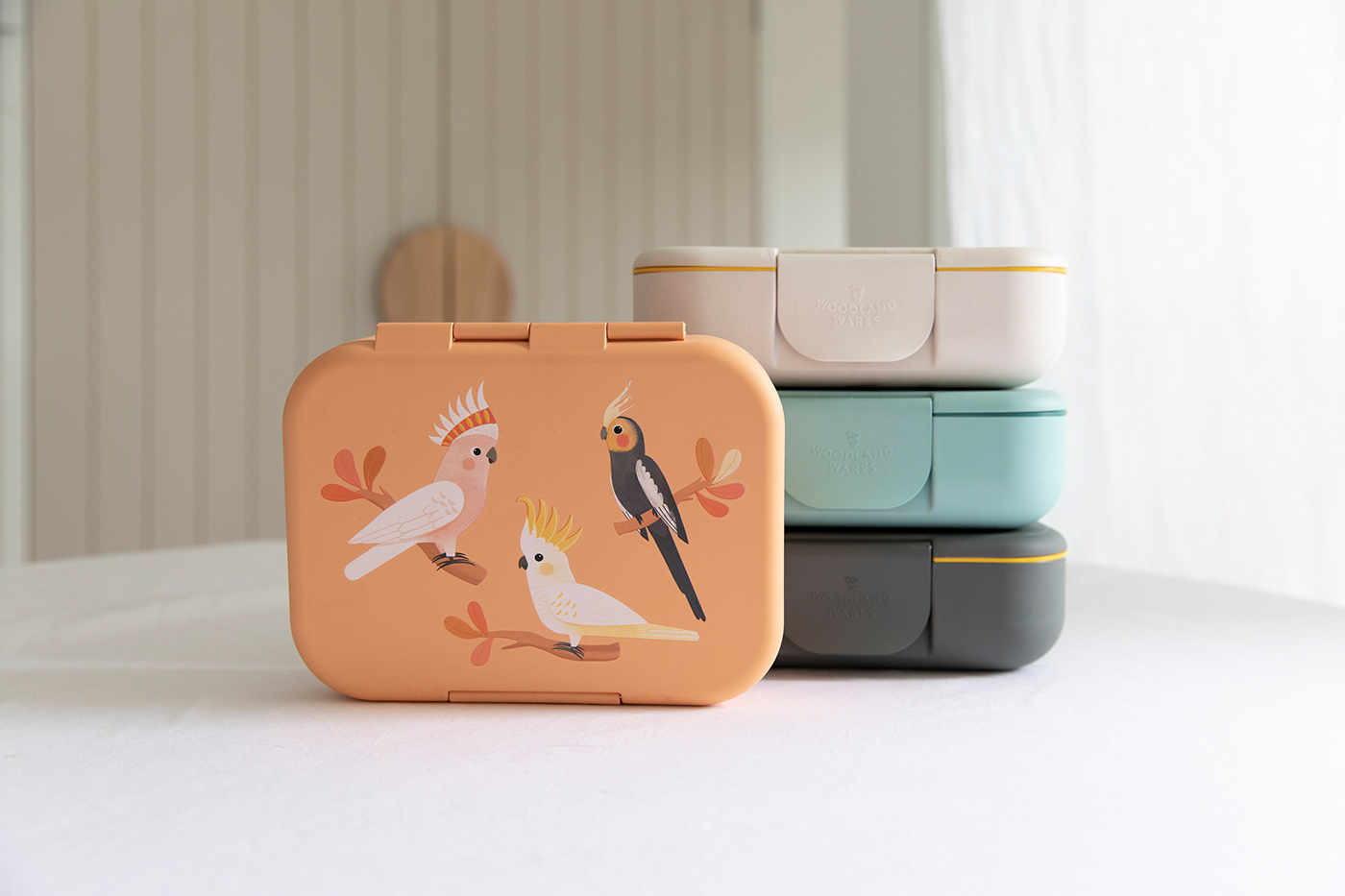 container design Food  kids Lunch box