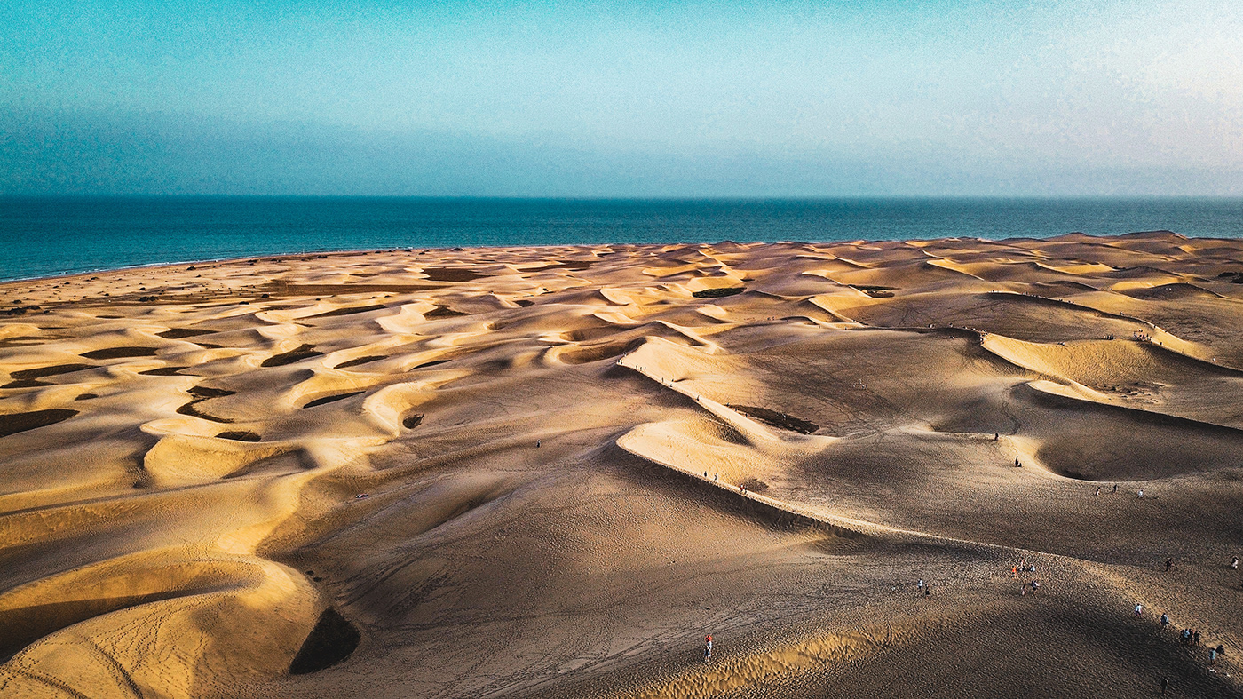 desert canary dunes