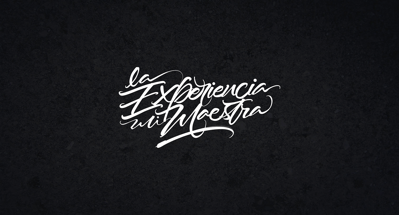 #Calligraphy #lettering #Logos #marks #handlettering  #fonts #letter   caligrafia lettering logos