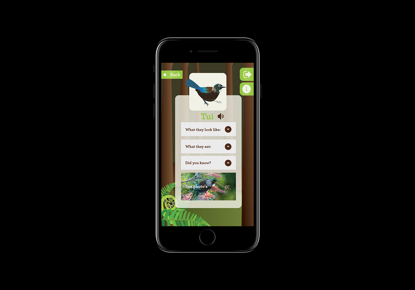 ux UI Interface design graphic design  Native birds app app design