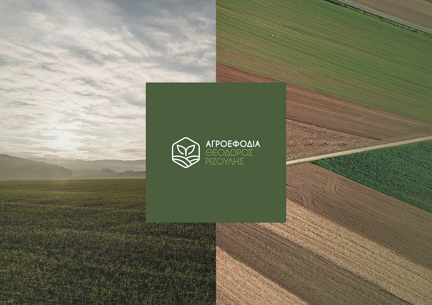 logo branding  Greece greek identity agriculture sprout Nature field Minimalism