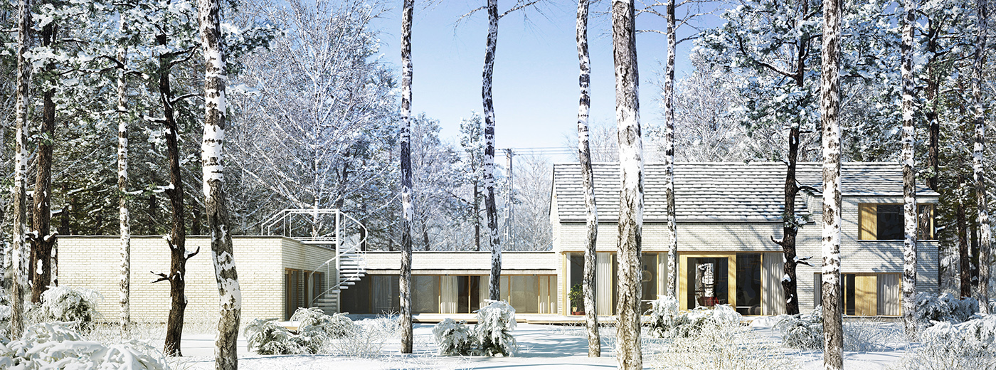 Adobe Portfolio 3D  Snow  visualization forest winter
