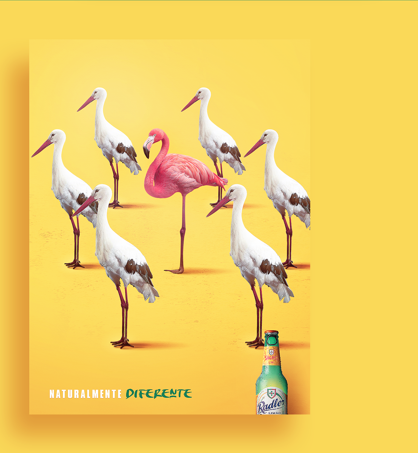 graphic pattern beer bird flamingo dog dalmatian cactus filipesj filipe