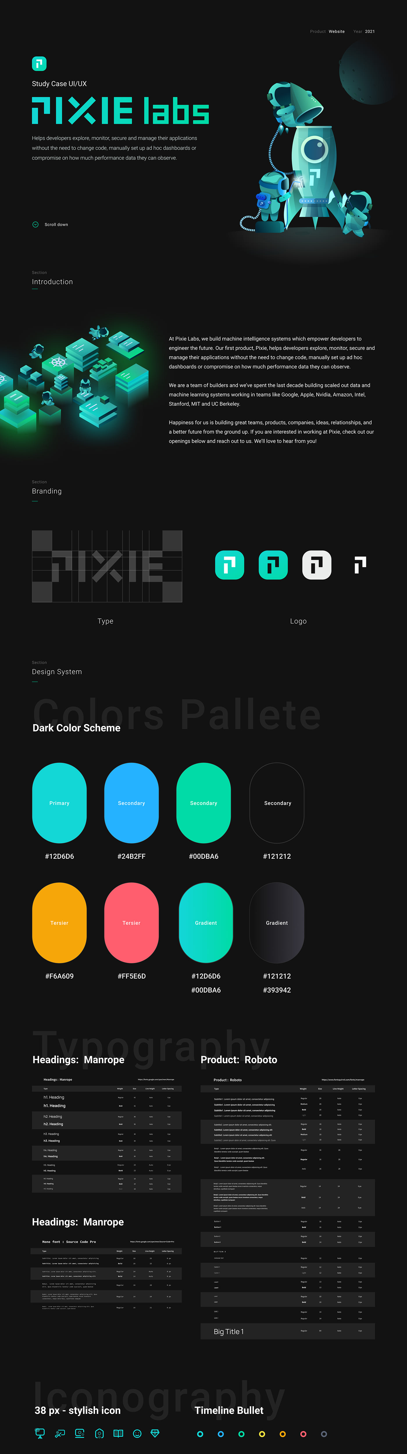 branding  dark devops pixie SaaS product design Web Design 