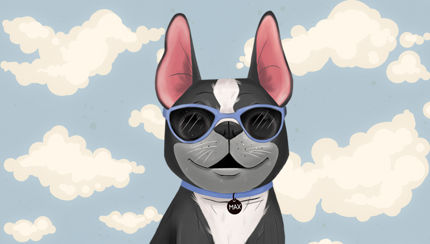 animal boston terrier Character children book dog draw French Bulldog graphic design  ILLUSTRATION  puppy