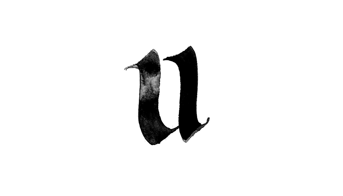 36days daysoftype typography   Calligraphy   lettering