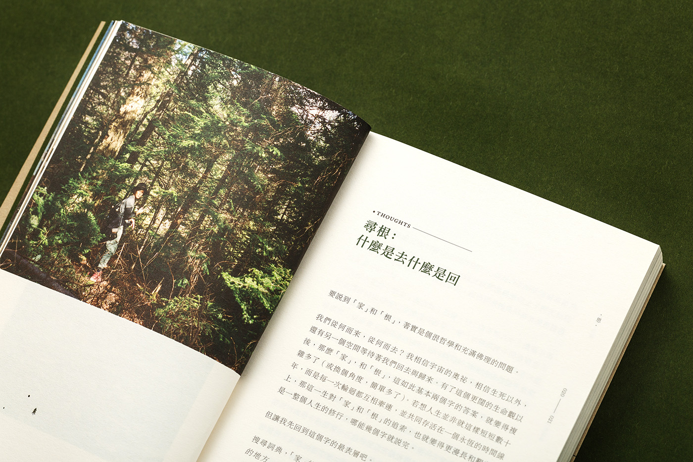 book graphic print green Tree  forest camp car Travel wild