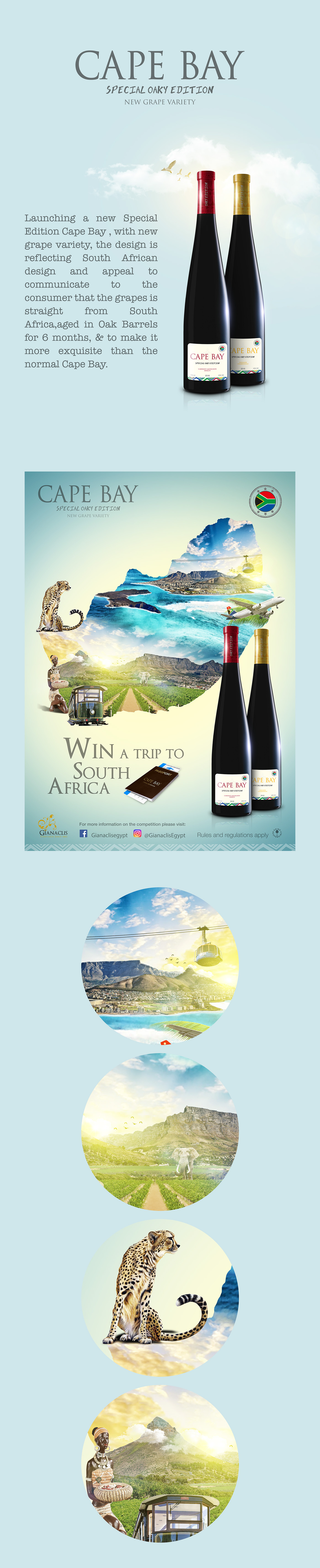 wine south africa cape town Cape Bay drink alchohol africa Passport Travel Vineyards