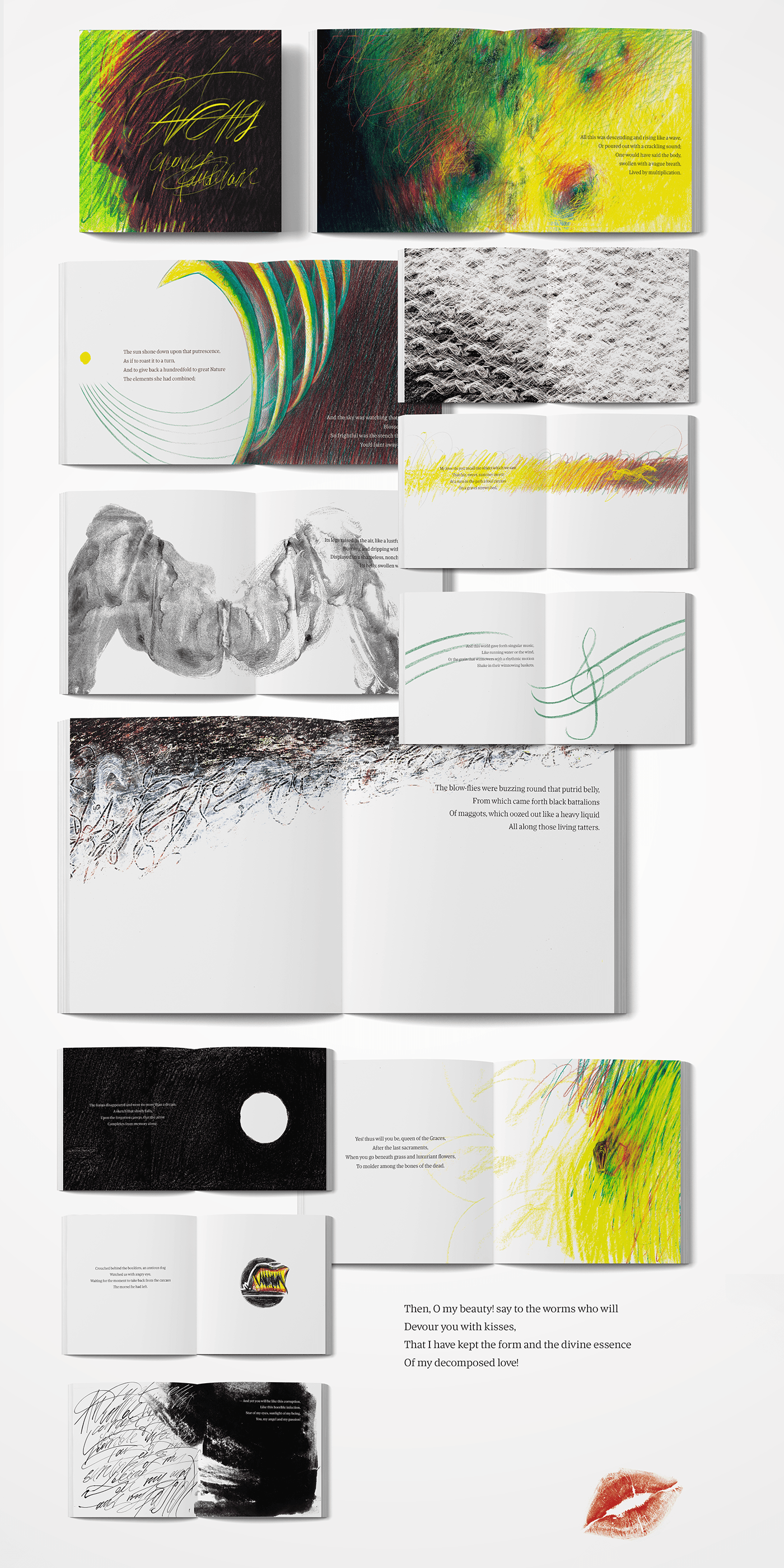 ILLUSTRATION  book cover design art dinamic Calligraphy   color colors Illustrator contrast