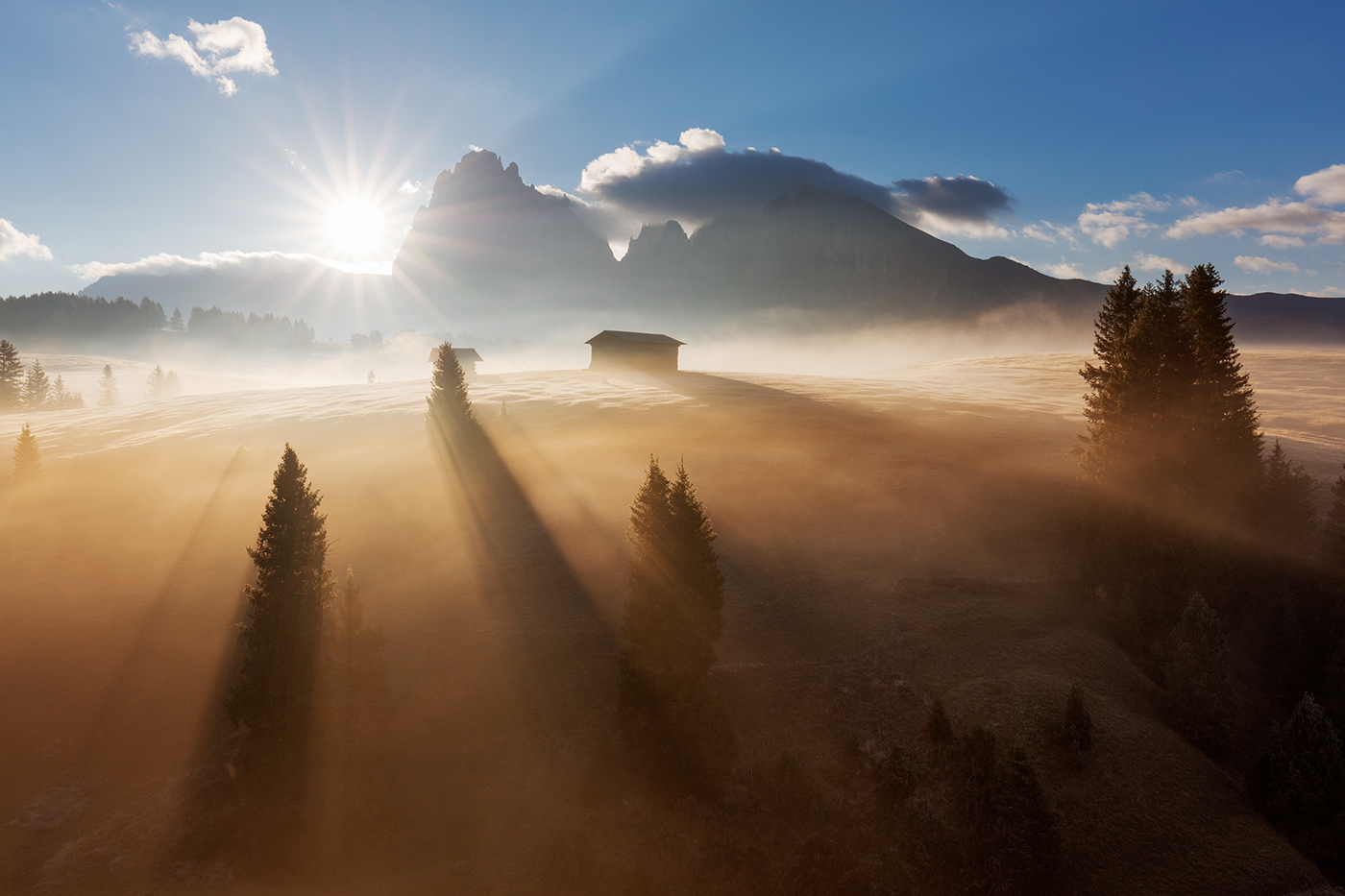 Italy mountains fog light Landscape trees dolomites Travel Photography  Nature