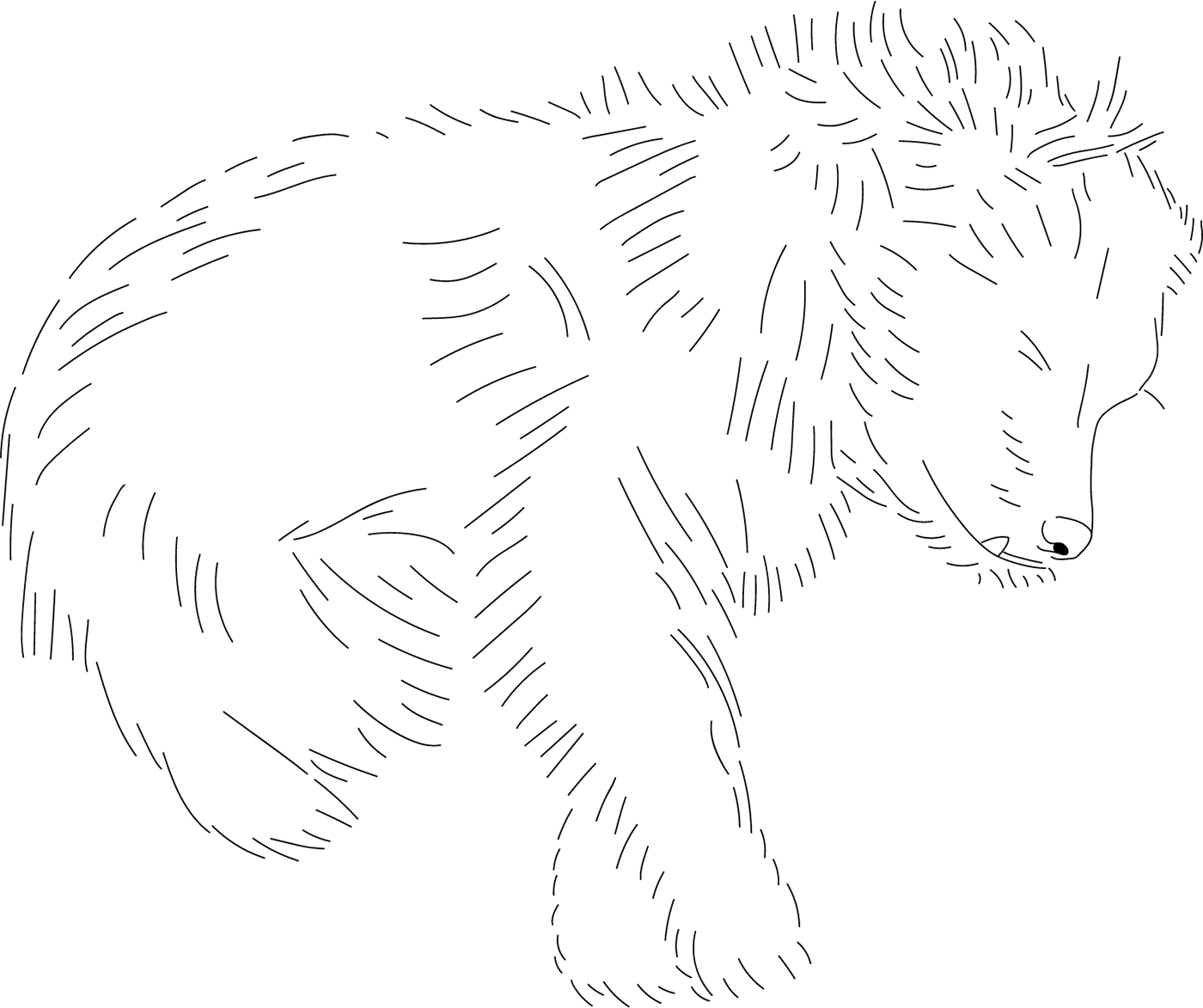 animal dog Drawing  ILLUSTRATION  line drawing vector