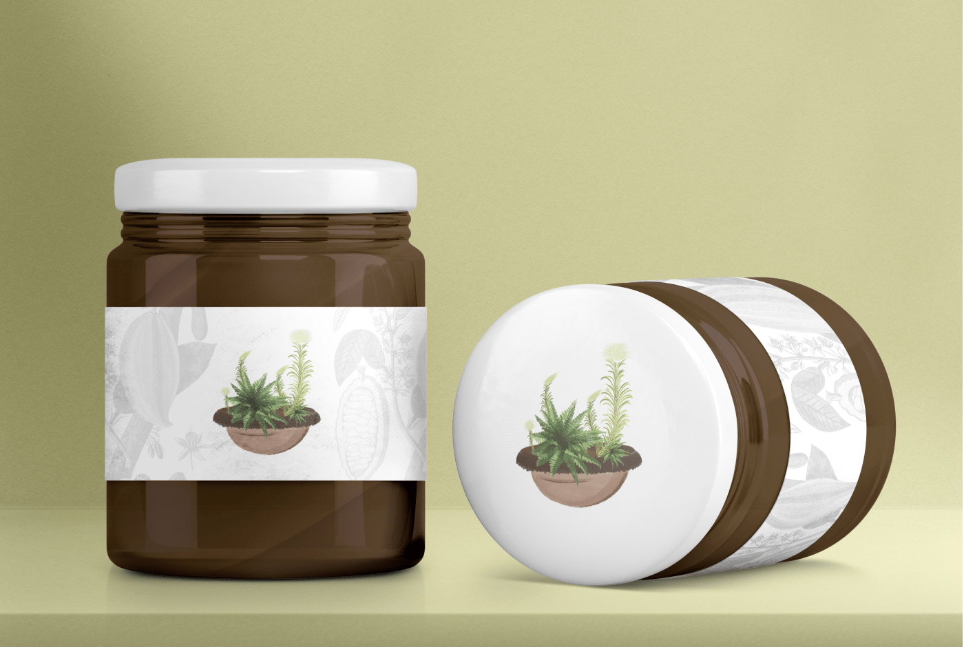 cactus concept Digital Art  digital illustration graphic design  ILLUSTRATION  Nature plants Procreate realistic