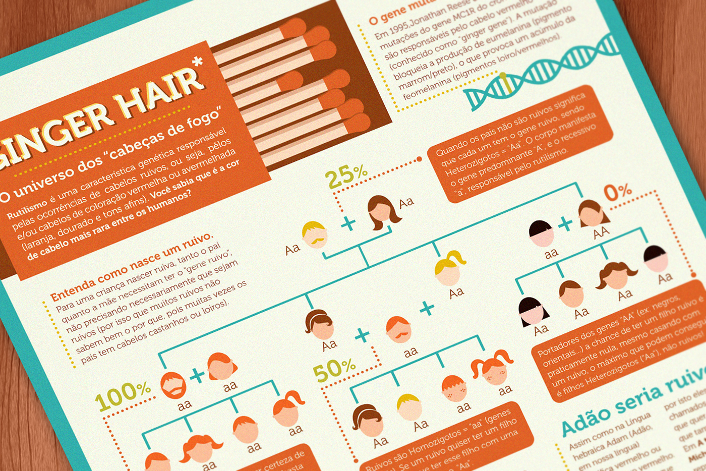 infographic infográfico Icones icons ruivos   ginger hair dados color Layout pattern graphics detail arts personal project creative red cabelo Cores