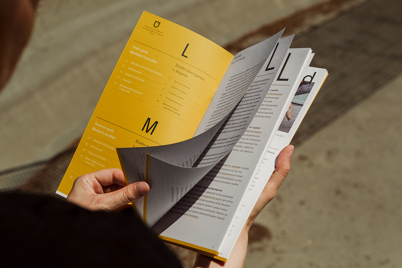 brochure design graphic design  Layout typohraphy yellow InDesign leaflet print student