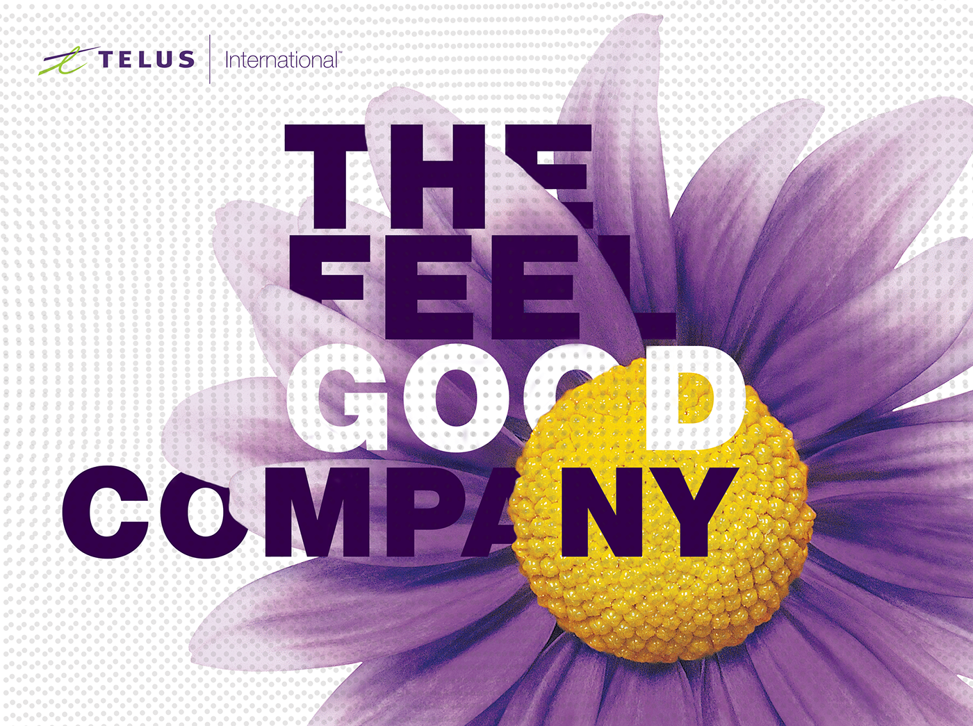 corporate identity Telus brand visual Keyvisual natureelements brandcolours stickers signs