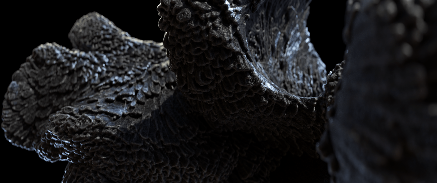 opening titles motion design node coral design zelig houdini cinema4d adobe main titles