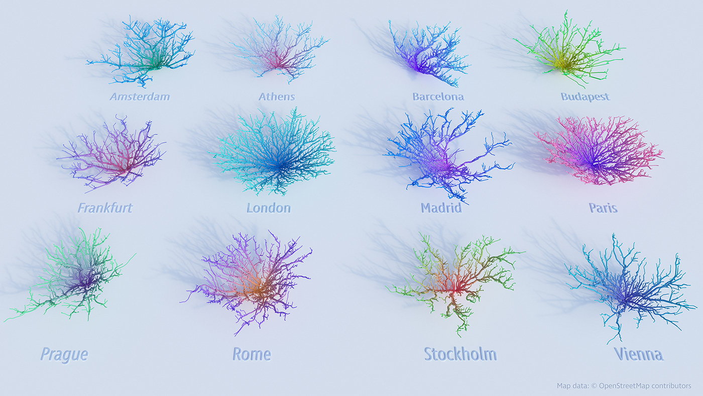 Data animation  dataviz maps Cities coral design visualisation conceptual Analysis