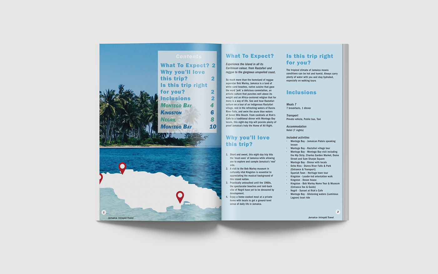 brochure design ILLUSTRATION  InDesign jamaica Nature Travel