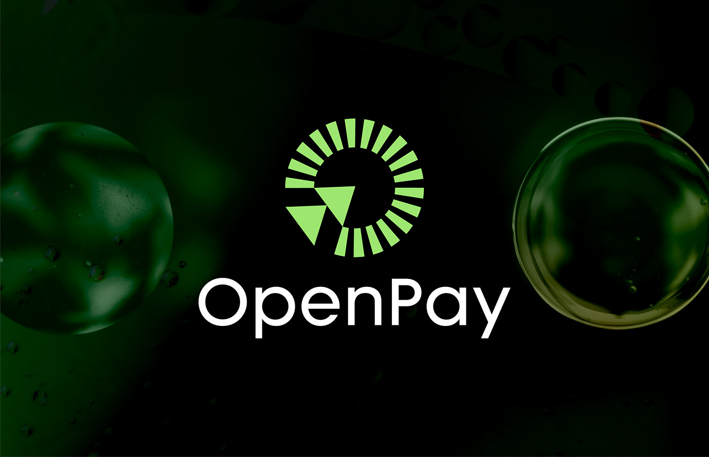 Online Payment Logo, Financial, Crypto, Branding