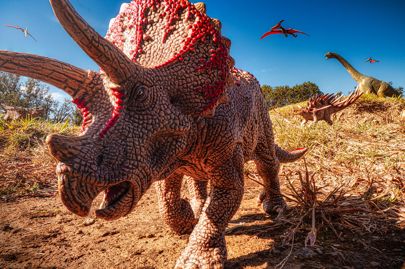 The dinosaurs of Schleich were photographed.
Triceratops. Pteranodon.