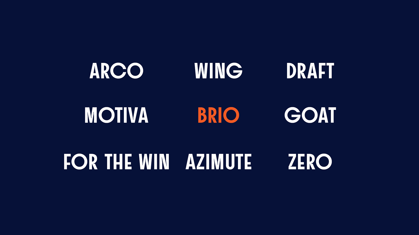 custom font fonts football football management soccer Typeface