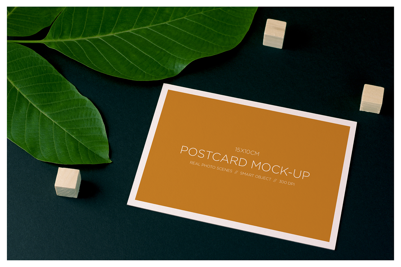 postcard mockup product mockup invitation mockup postcard design print Photography  custom scene styled scene