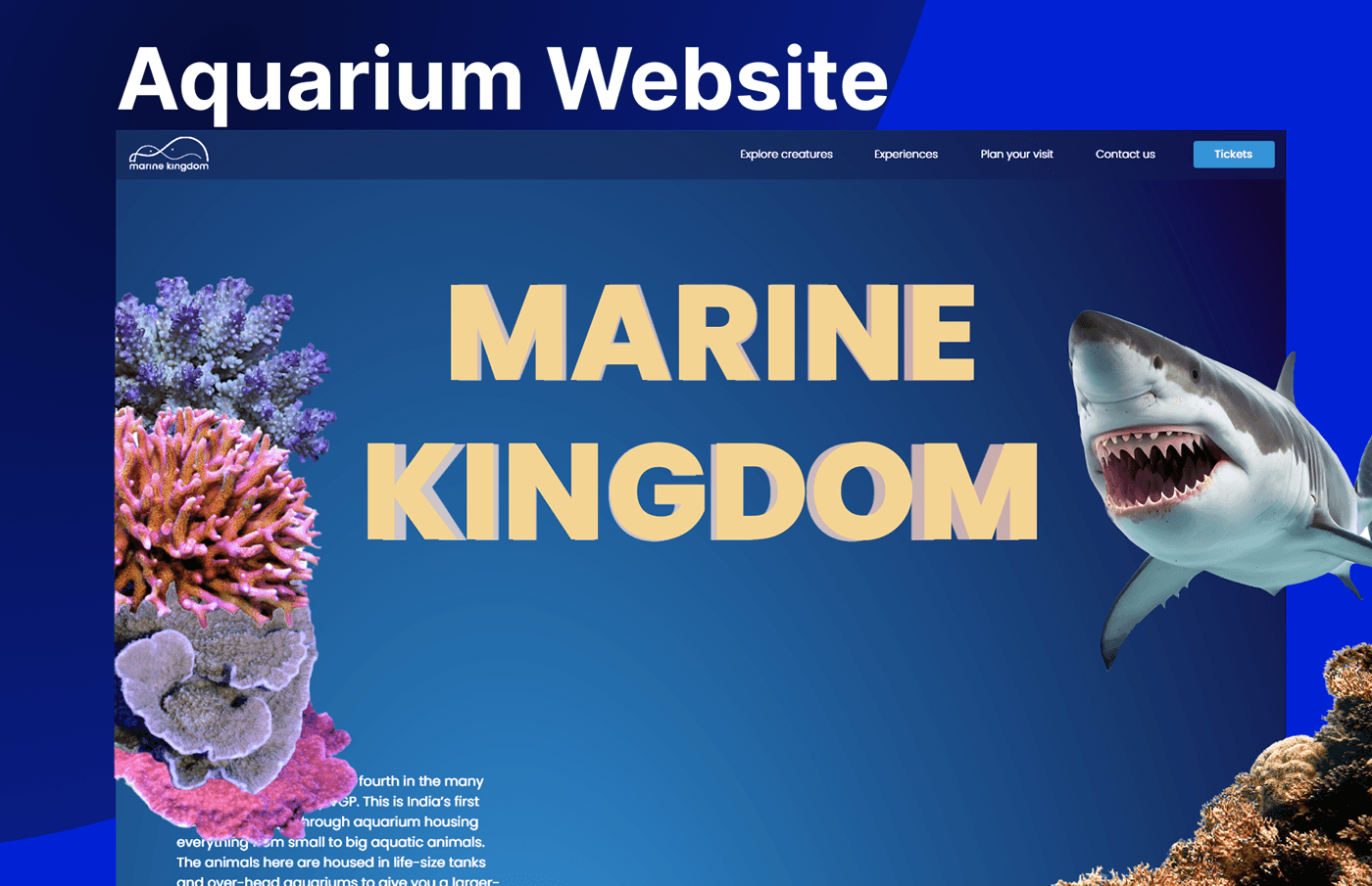 aquariums fish Online shop Web Design  landing page 3D Ecommerce ticket ticket design Booking