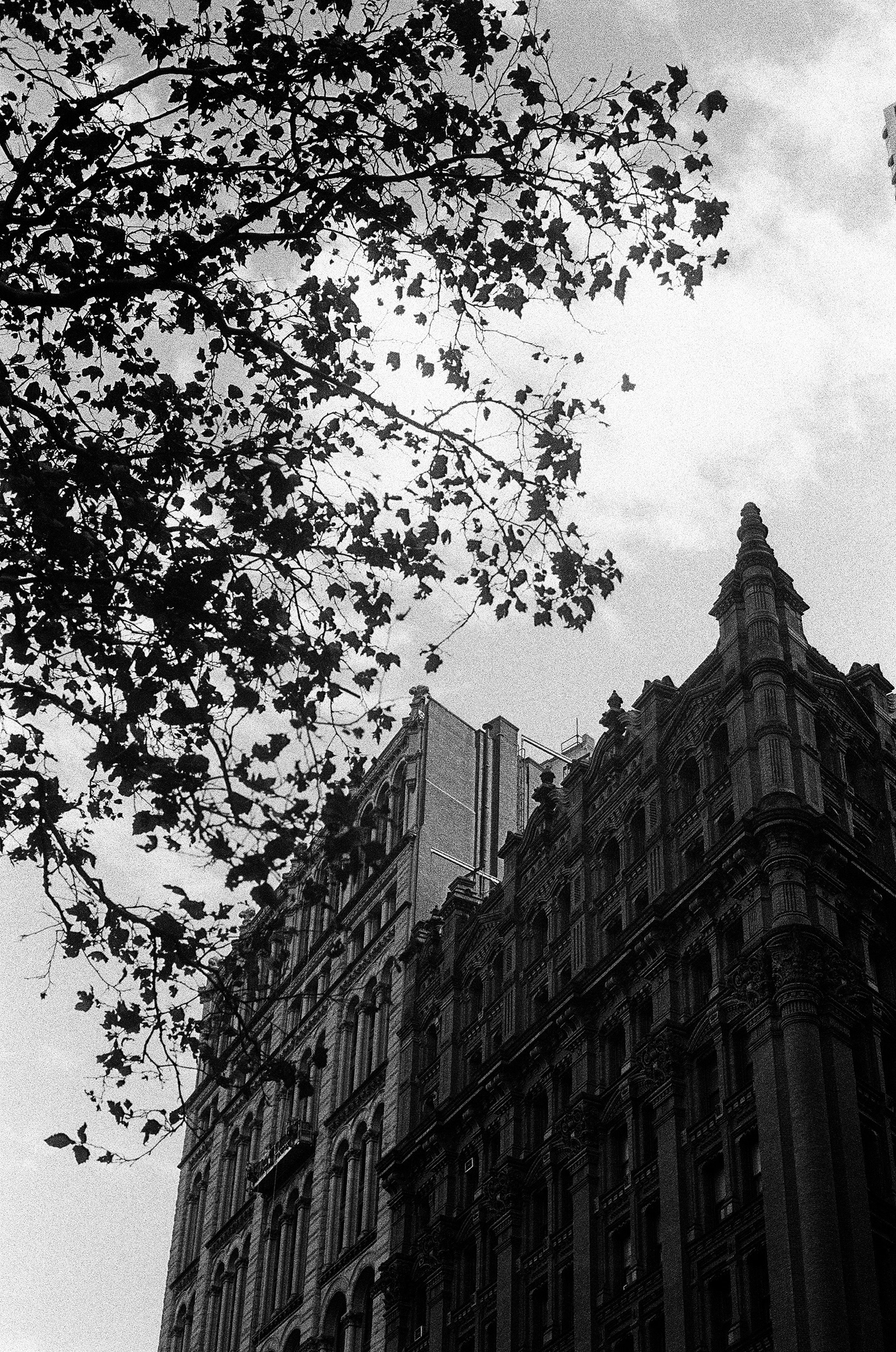 black and white newyork film photography 35mm analog photography street photography aristaedu 400 Black and White Film grain is good nikonf3