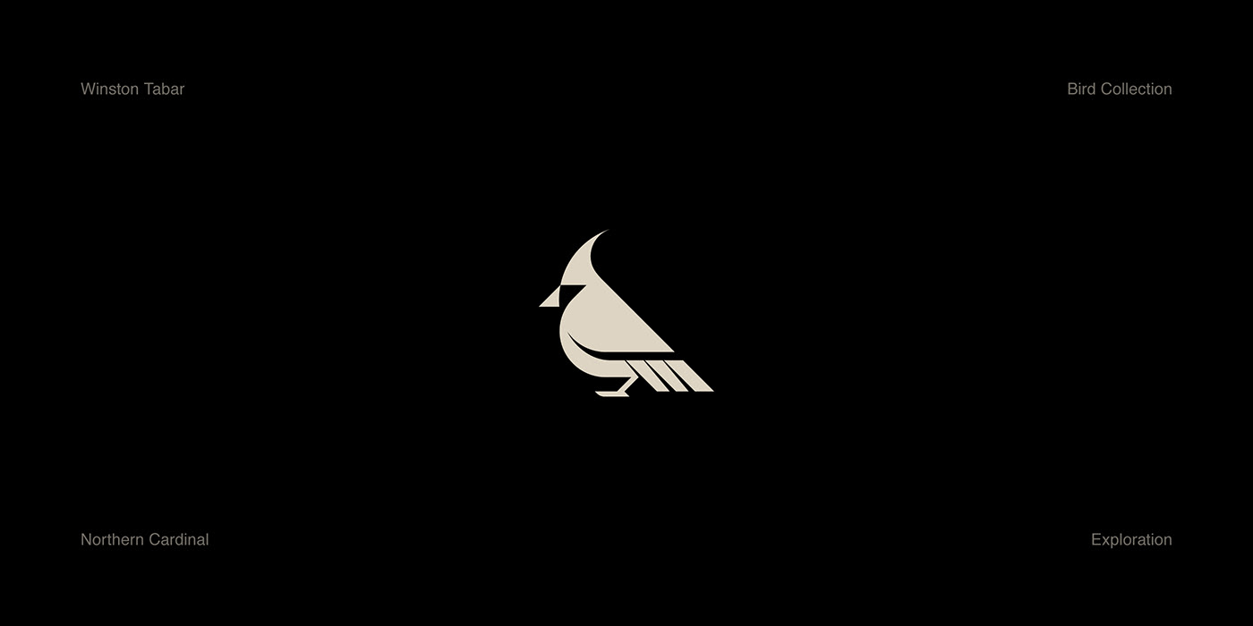 bird brand identity branding  Collection design graphic design  ILLUSTRATION  logo Logo Design logomark